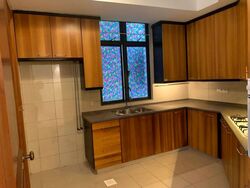 Valley Park (D10), Condominium #504106521